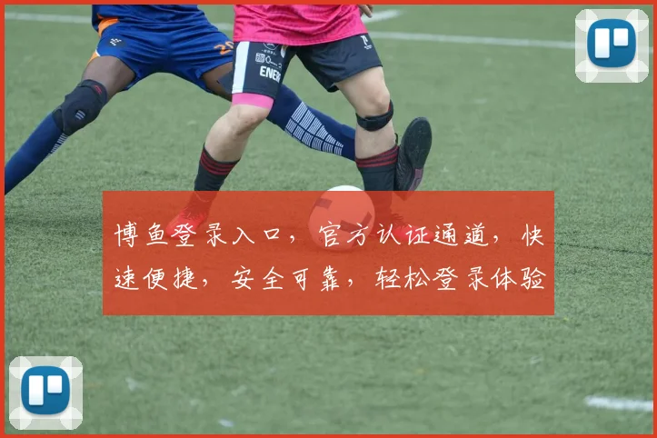 博鱼登录入口，官方认证通道，快速便捷，安全可靠，轻松登录体验