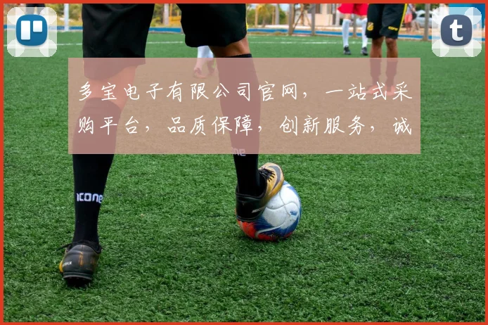 多宝电子有限公司官网，一站式采购平台，品质保障，创新服务，诚邀您的合作体验，共创美好未来。