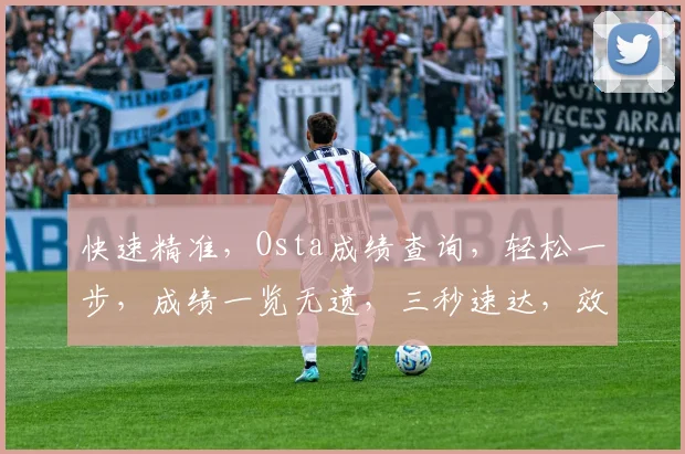 快速精准，Osta成绩查询，轻松一步，成绩一览无遗，三秒速达，效率升级。