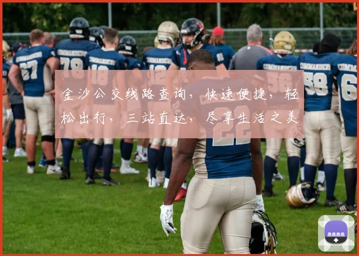 金沙公交线路查询，快速便捷，轻松出行，三站直达，尽享生活之美，出行无忧。